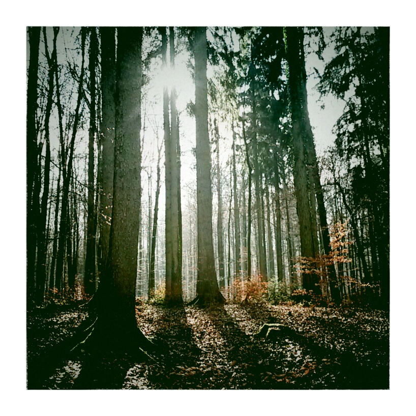 Taken with Vignette for Android